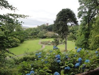 Dunvegan Castle - zahrady