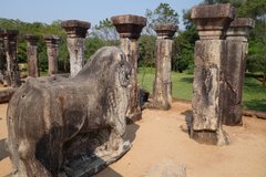 Chrámové ruiny ve městě Polonnaruwa