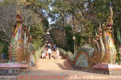 Schody k chrmu Wat Doi Sunthep lec pod vrcholem stejnojmenn hory.