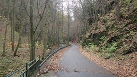 Povrchový tok Punkvy Pustým žlabem směrem k Skalnímu mlýnu, odkud k jeskyním jezdí pro turisty silniční vláček.
