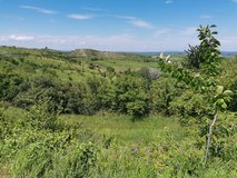 Dunajovické kopce s jedním terasovým