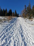 Stoup�n� na Kotarnicu