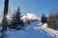 Stoup�n� na Kotarnicu