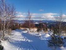 Stoup�n� na Kotarnicu (pohled za sebe sm�r Babi Gora)