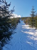 Stoup�n� na Kotarnicu