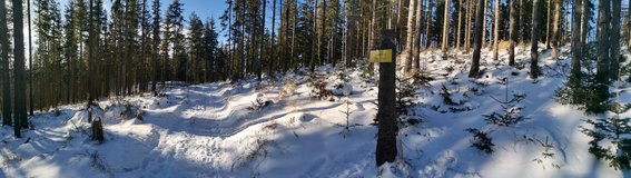Vrchol Kotarnice(1156m.n.m)  zna�en� u cesty. Ale j� jdu samoz�ejm� do lesa na ten opravdov� vrchol ...