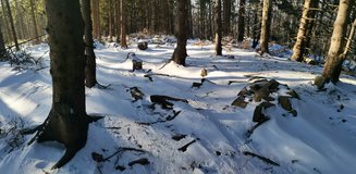 Opravdov� vrchol Kotarnice (1160 m.n.m.)