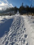 Stoup�n� na Majcherkowou
