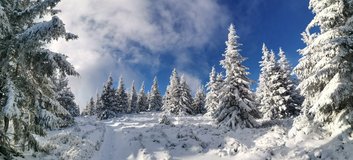 Stoup�n� na Majcherkowou
