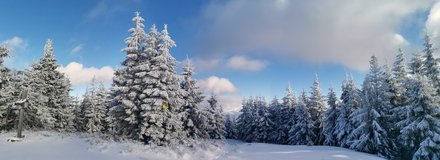 Vrchol Majcherkowa (1359 m.n.m.)