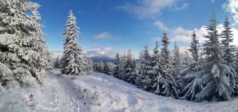 N�vrat z Majcherkowe zp�tky pod Kotarnicu