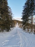 N�vrat z Majcherkowe zp�tky pod Kotarnicu