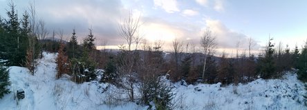 Vrchol Juraszkova (1003m). Op�t le��c� mimo stezku, tak�e bylo prod�r�n� se smr��m :-)
