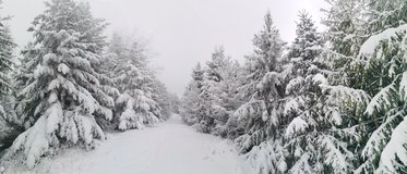 Neozna�en� vrchol Smerek�w Wielki (1041m), kam ani nevede turistick� zna�ka.