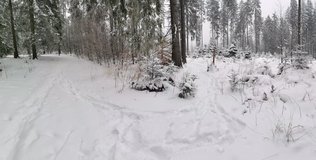 Na vrcholu Ka�ovky(952m) ost�e zat���m slepou trasou k ho�e Ve�k� kopec