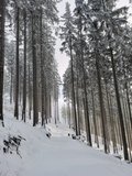 Pochod kolem Ve�k�ho kopce zp�tky na Ka�ovky
