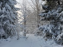 Stoup�n� na ښust