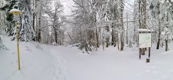 Kone�n� vrchol ښust(1086m). Skute�n� vrchol le�� ve smr�� o p�r des�tek metr� vedle, kam jsem se samoz�ejm� prodral :-)