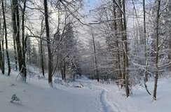 Na fotk�ch to nevypad�, ale je to sakra strm� cesta