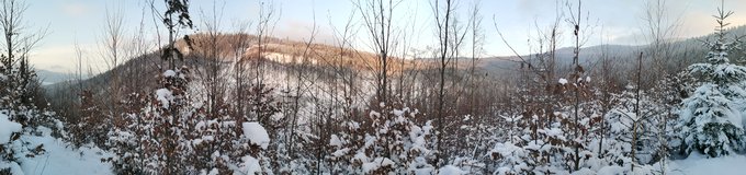 V�hled na dopoledn� ��st m� dne�n� trasy s prvn�m vrcholem Smerek�w Wielki a v pravo Javorina.