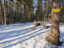 Uszczawne Wy�ne ( 1145m )